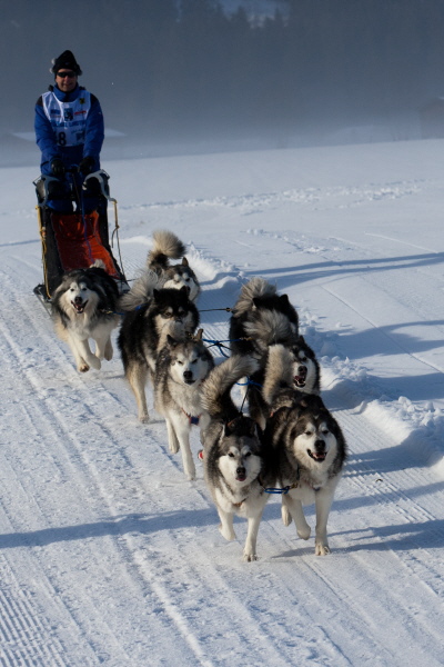 Wildkogel 2011